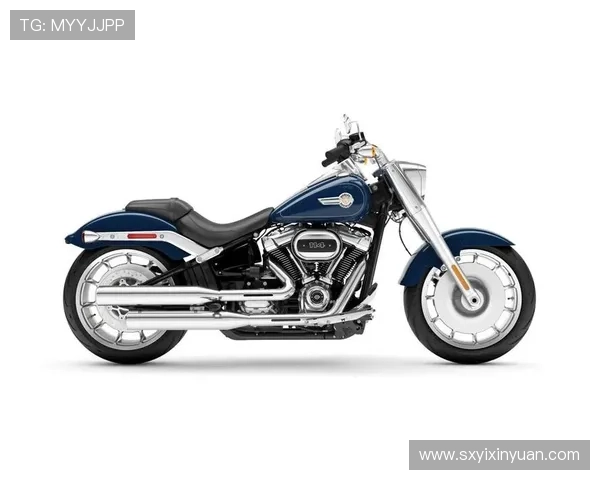 10 款哈雷戴维森摩托车现已降价至可负担的价格 10 款哈雷戴维森摩托车现已降价至可负担的价格