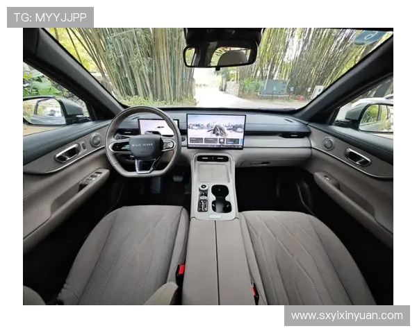 10万出头，混动带T，底盘更好，试驾奇瑞风云T8