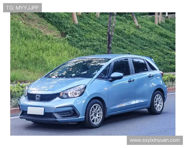 11万公里本田飞度地球梦，到底有没有积碳