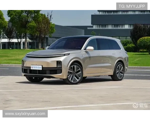 11月国内汽车销量分析 Model Y重回榜首_海鸥首破4万台 11月国内汽车销量分析 Model Y重回榜首_海鸥首破4万台