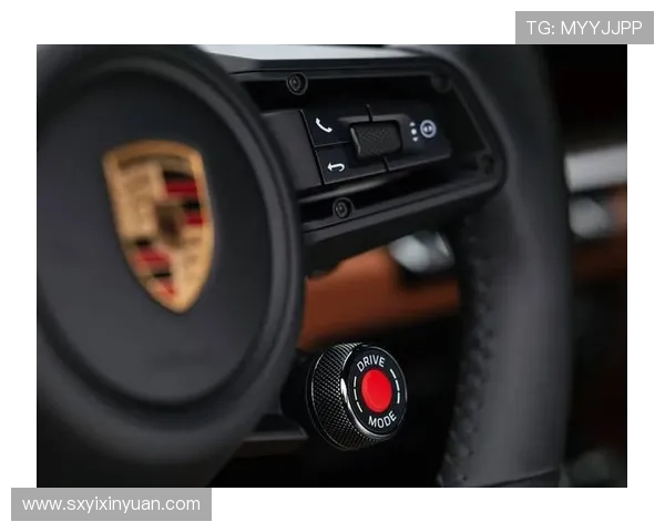 126.5万元起售,全新911来了,带红外线夜视辅助系统 126.5万元起售,全新911来了,带红外线夜视辅助系统